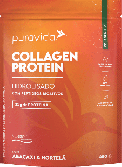 COLLAGEN PROTEIN HIDROLISADO 450G SABOR ABACAXI E HORTELA