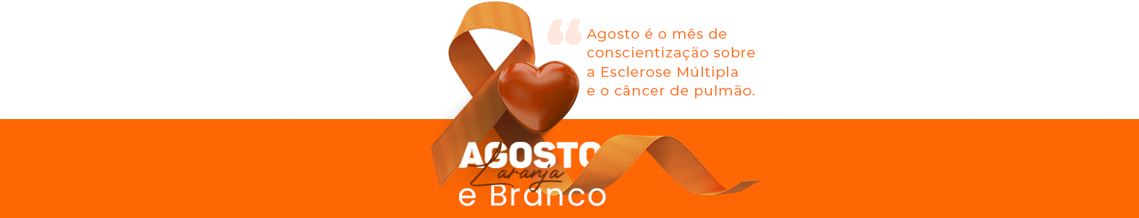 AGOSTO LARANJA E BRANCO
